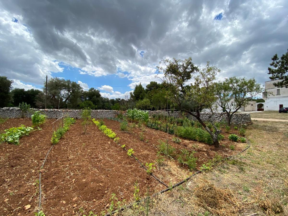 Апартаменты Masseria Cervellera Челье-Мессапика Экстерьер фото